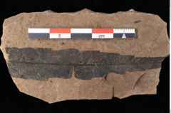 Foto (Detailansicht) von Rhytisma palaeomyricae Ettingshausen (NHMW-GEO-2024-0188-0085)